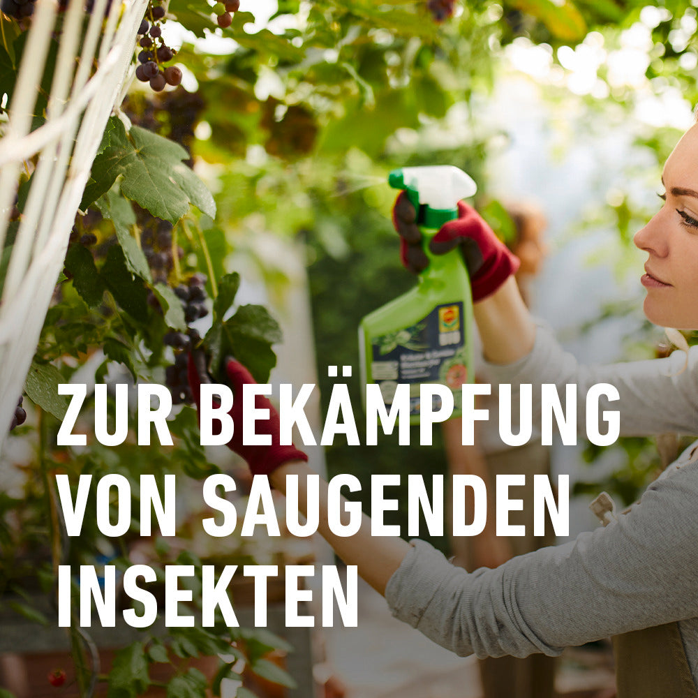 COMPO Blattlaus-frei Nativert® AF