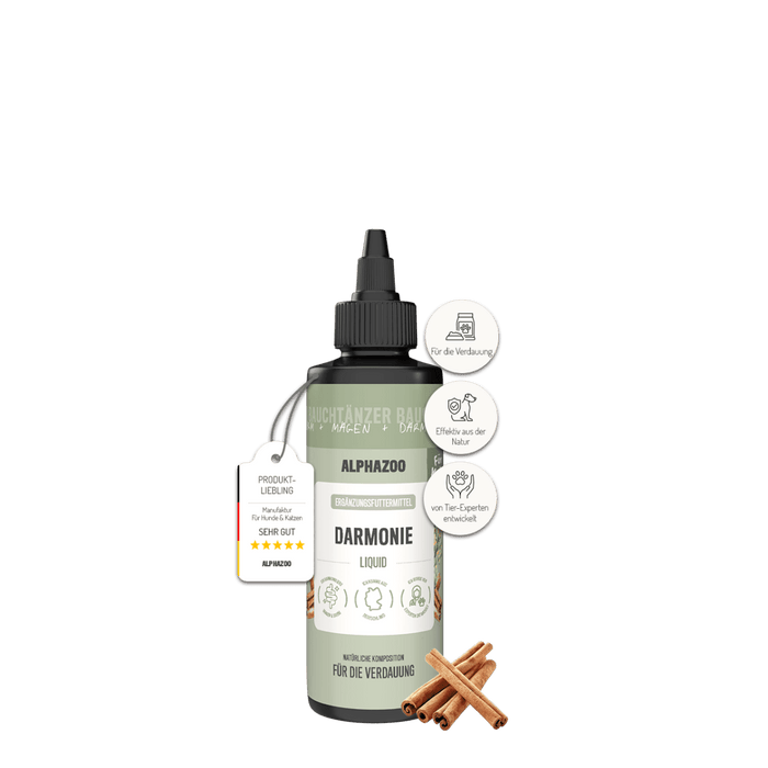 Darmonie Liquid für Katzen, 100ml Flasche mit natürlichen Inhaltsstoffen zur Unterstützung der Verdauung.