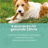 Zähne Zeigen Dentalstick