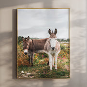 Donkeys in Connemara – Irish Countryside Wall Art Print