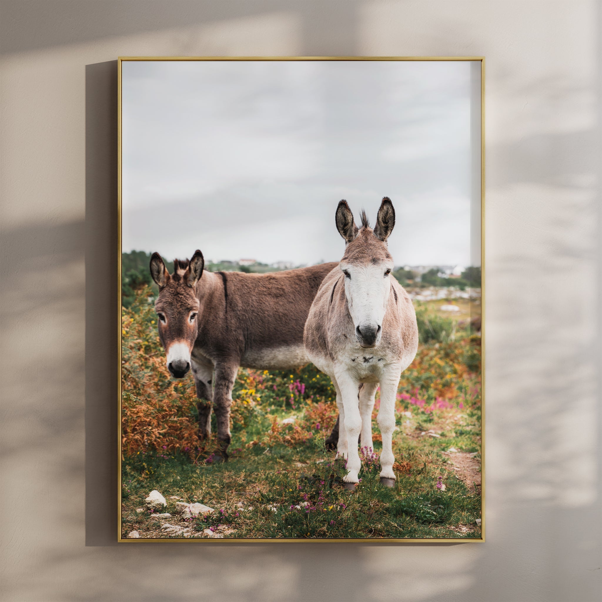 Donkeys in Connemara – Irish Countryside Wall Art Print