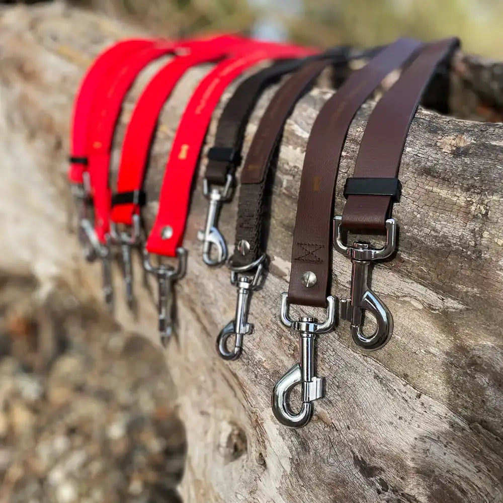 Doppelleine TECHTELMECHTEL aus BioThane®/Pop - Band by Der Hundegefährte