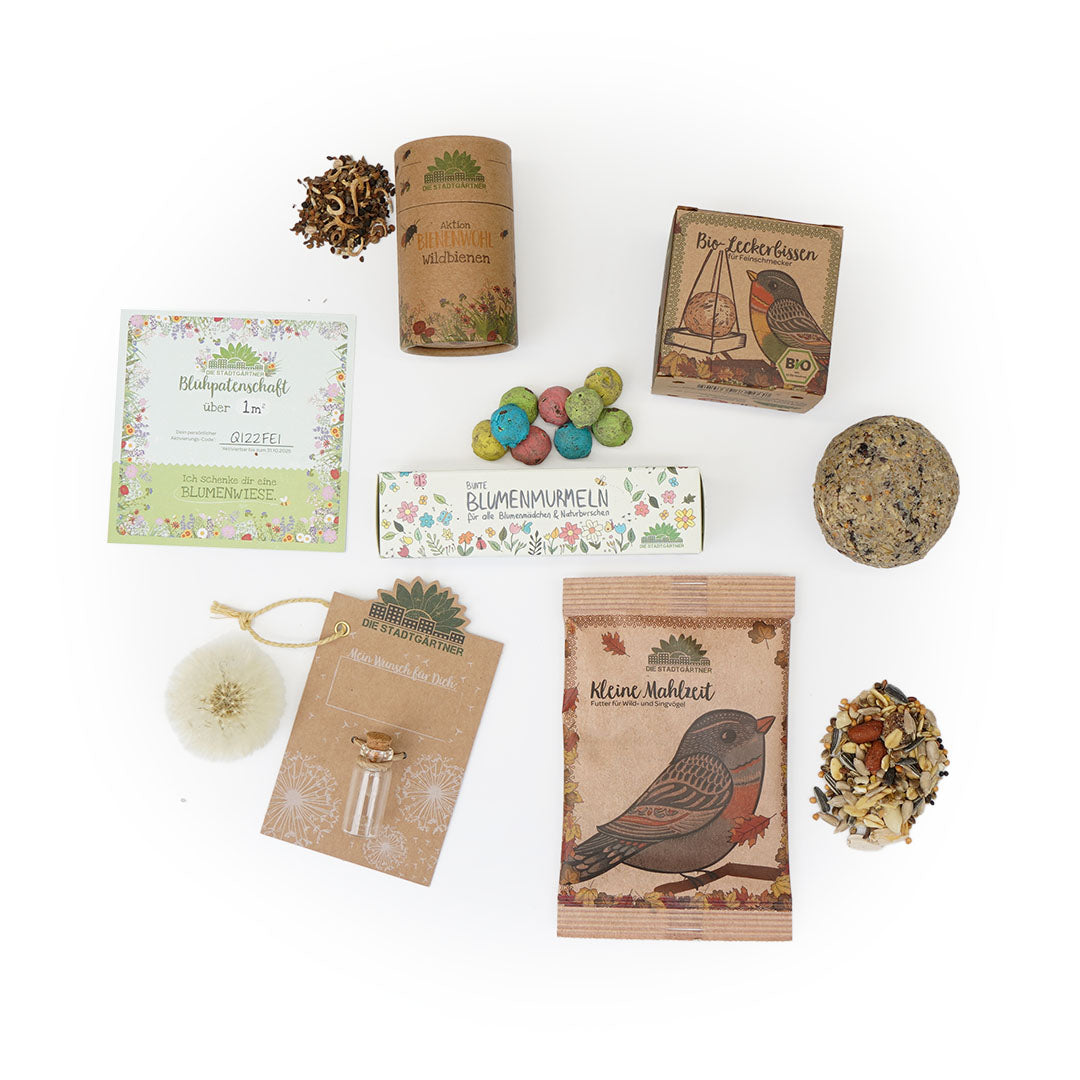 6er Set für deinen Adventskalender