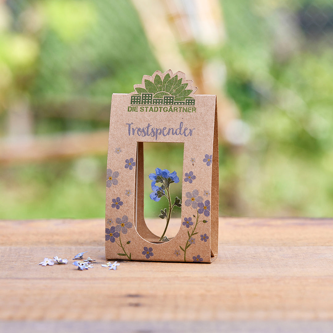 Trostspender – Echtes Vergissmeinnicht