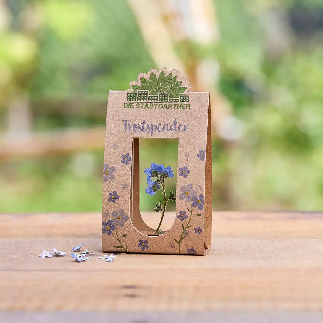 Trostspender – Echtes Vergissmeinnicht