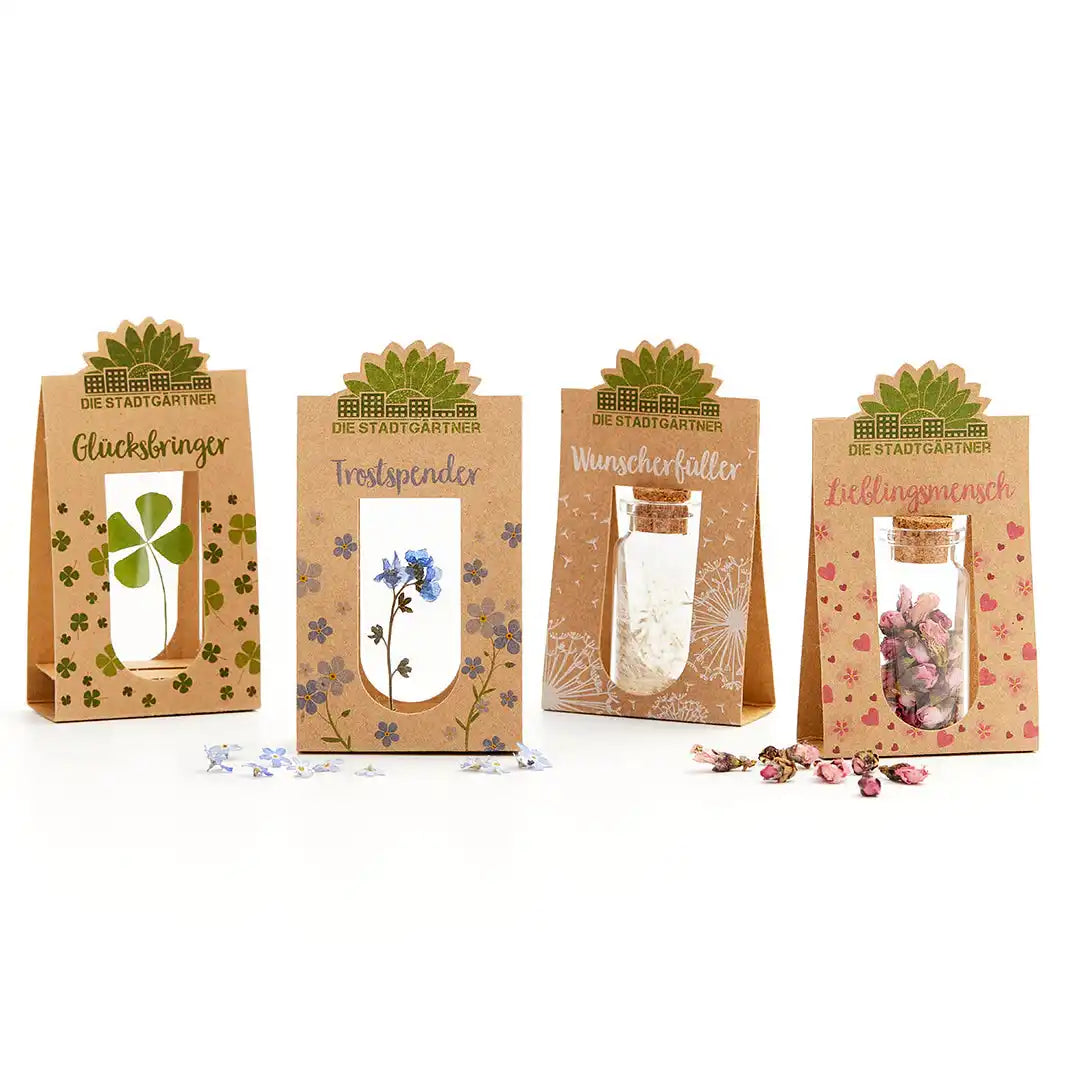 Set mit 4 Emotionsbringern