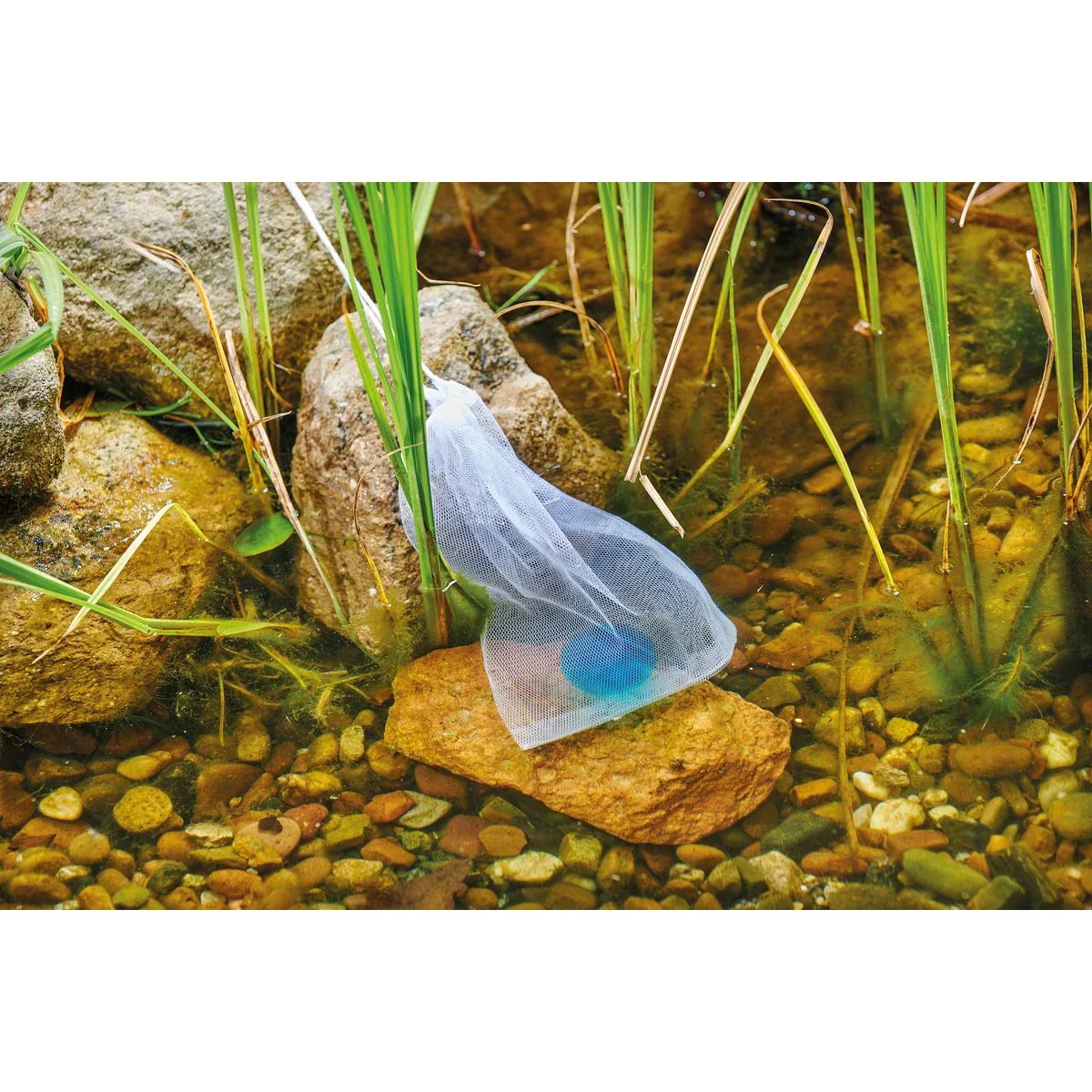 DuoBoost 2 cm 250 ml - Japankoi.net
