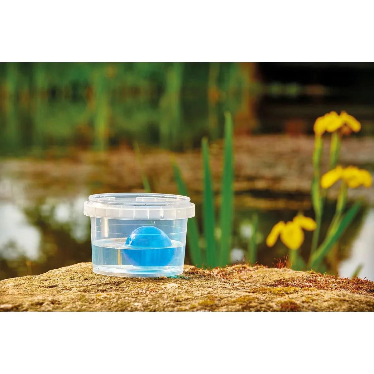 DuoBoost 5 cm 250 ml - Japankoi.net