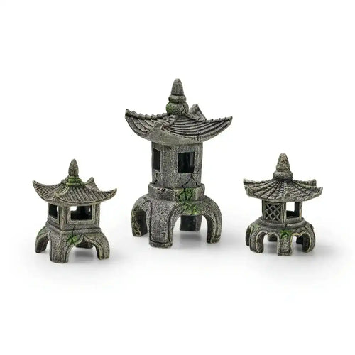 EDEN Asien Set