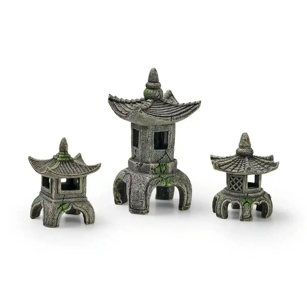 EDEN Asien Set