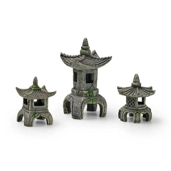 EDEN Asien Set