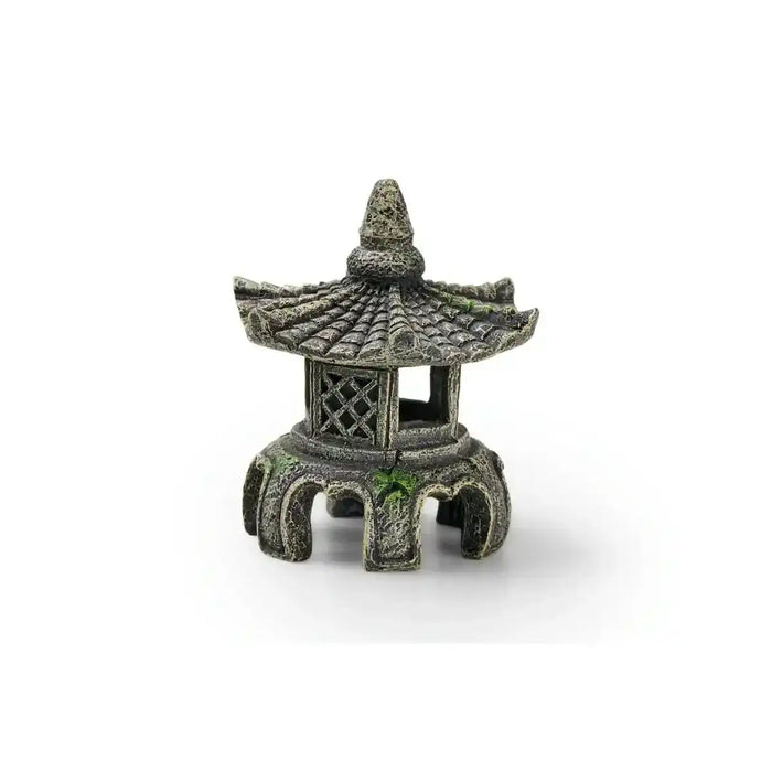EDEN Asien Tempel W