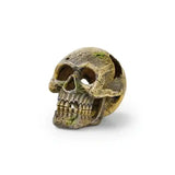 EDEN Totenkopf