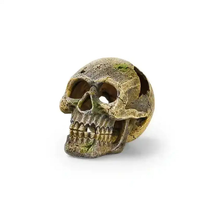 EDEN Totenkopf