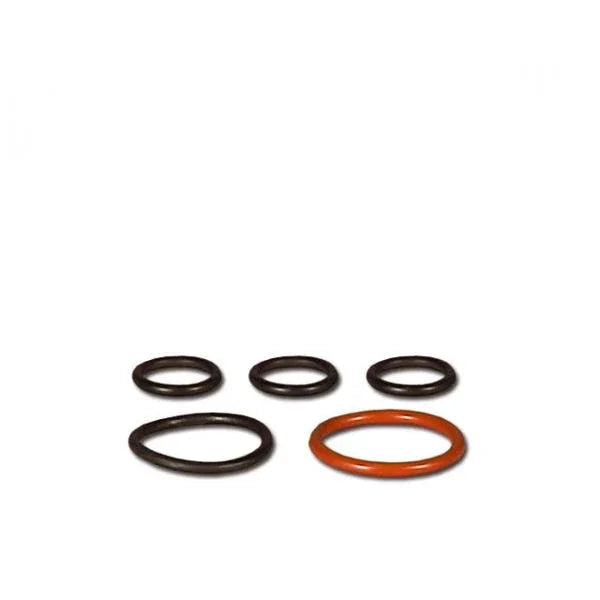 Eheim Satz Dichtungen für Adapter und Trennwand für professionel 3 1200XL/1200XLT - Japankoi.net