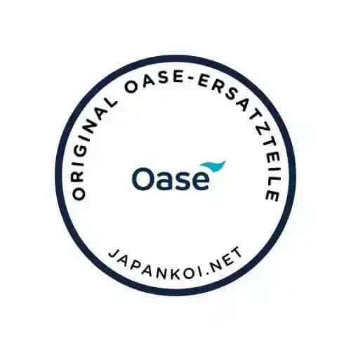 Zylinderschraube V2A DIN 912 M4 x 20