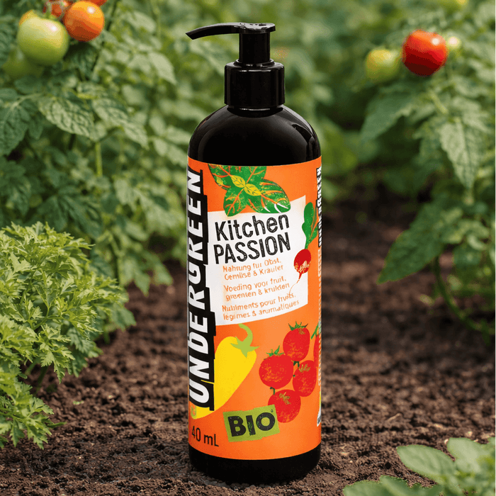 COMPO UNDERGREEN Bio-Flüssigdünger für Gemüse & Obst 1 Sück a  400 ml