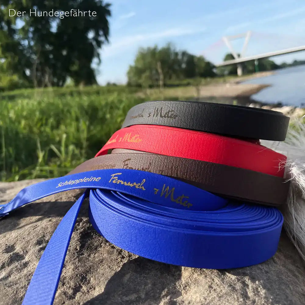 Schleppleine FERNWEH aus BioThane®/POP - Band by Der Hundegefährte