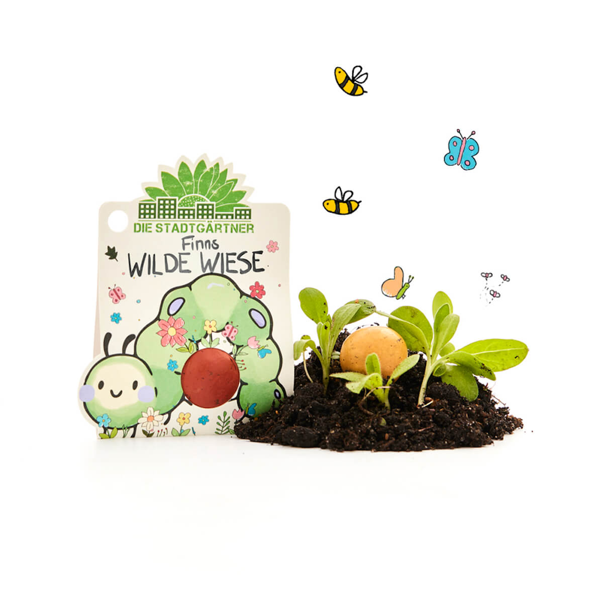 1 Blumenmurmel "Finns Wilde Wiese"
