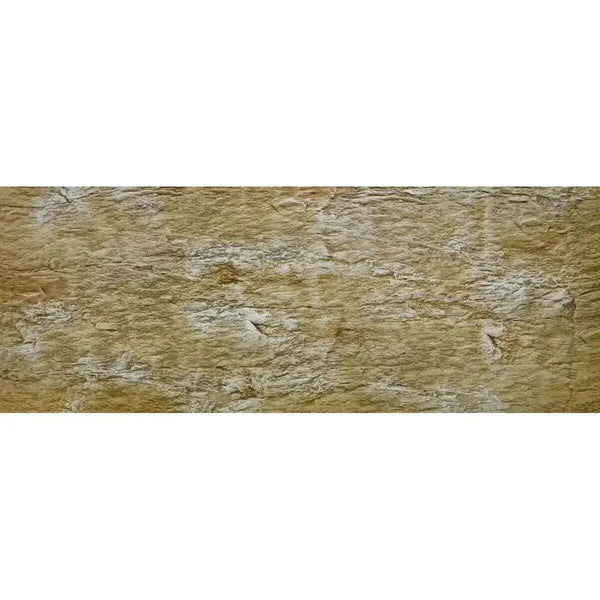 Flex Rückwand Sandstein M Dekoration Für Aquarium Von OASE Natürliche Sandstein Optik Dünn Und Flexibel