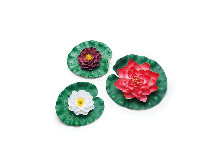 Pontec PondoLily Set 3 schwimmende Seerosen