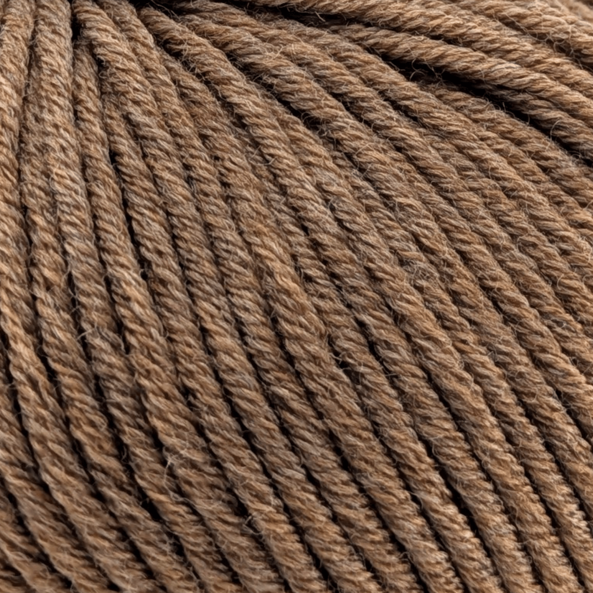 ggh Samson | 106 - Haselnuss