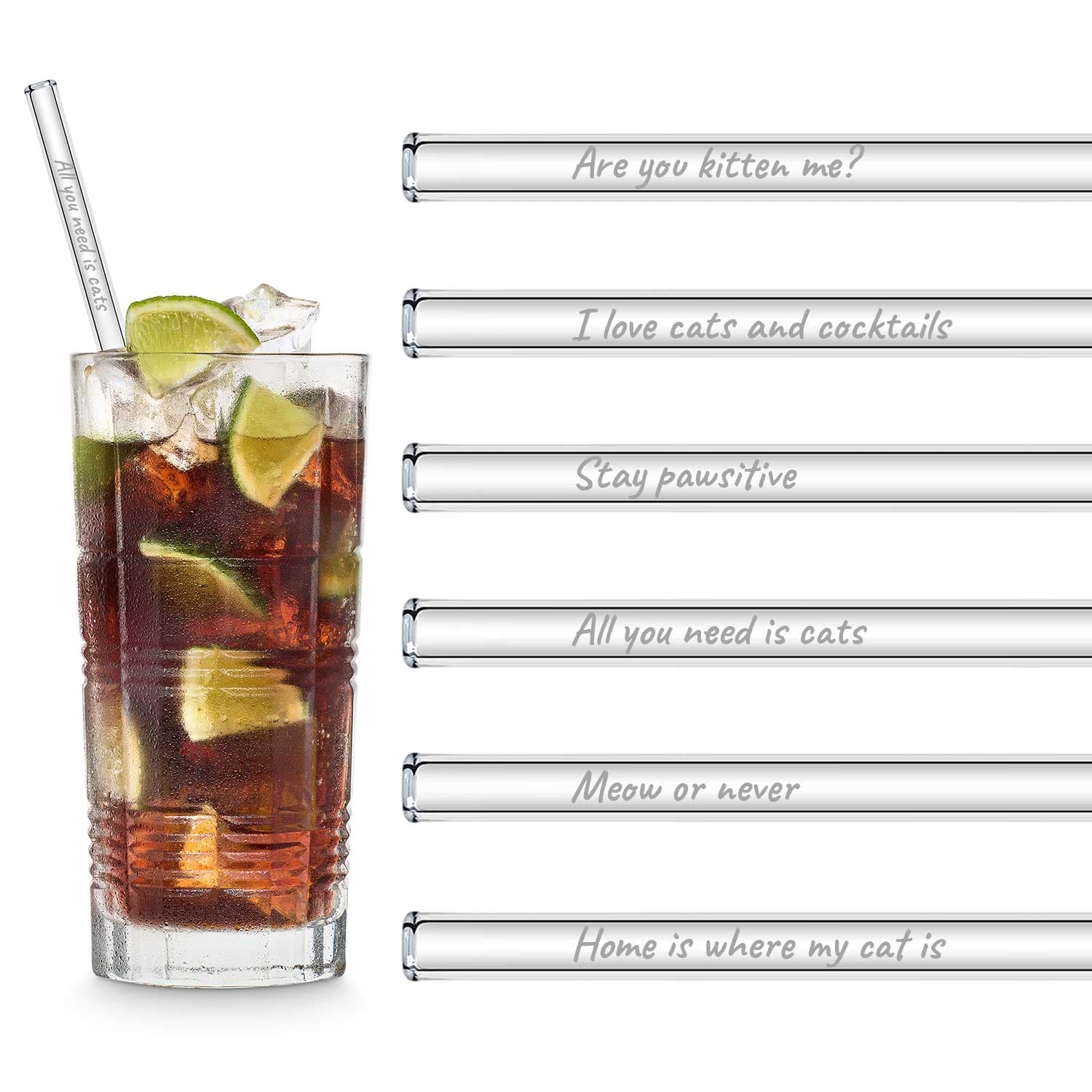 Katzen Sprüche Edition 6x Glasstrohhalme mit gravierten Katzen Zitaten 15cm, 20cm, 23cm