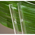 Earth Day Edition 6x Glasstrohhalme mit gravierten Motiven 15cm, 20cm, 23cm