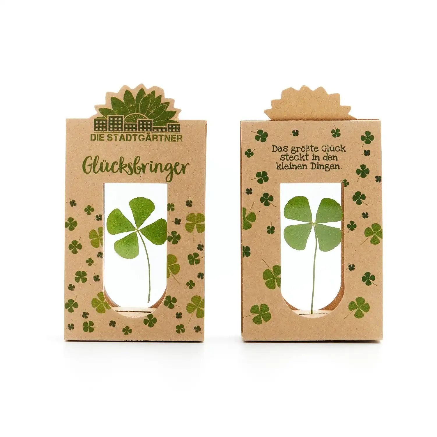 Glücksbringer – Echtes Kleeblatt