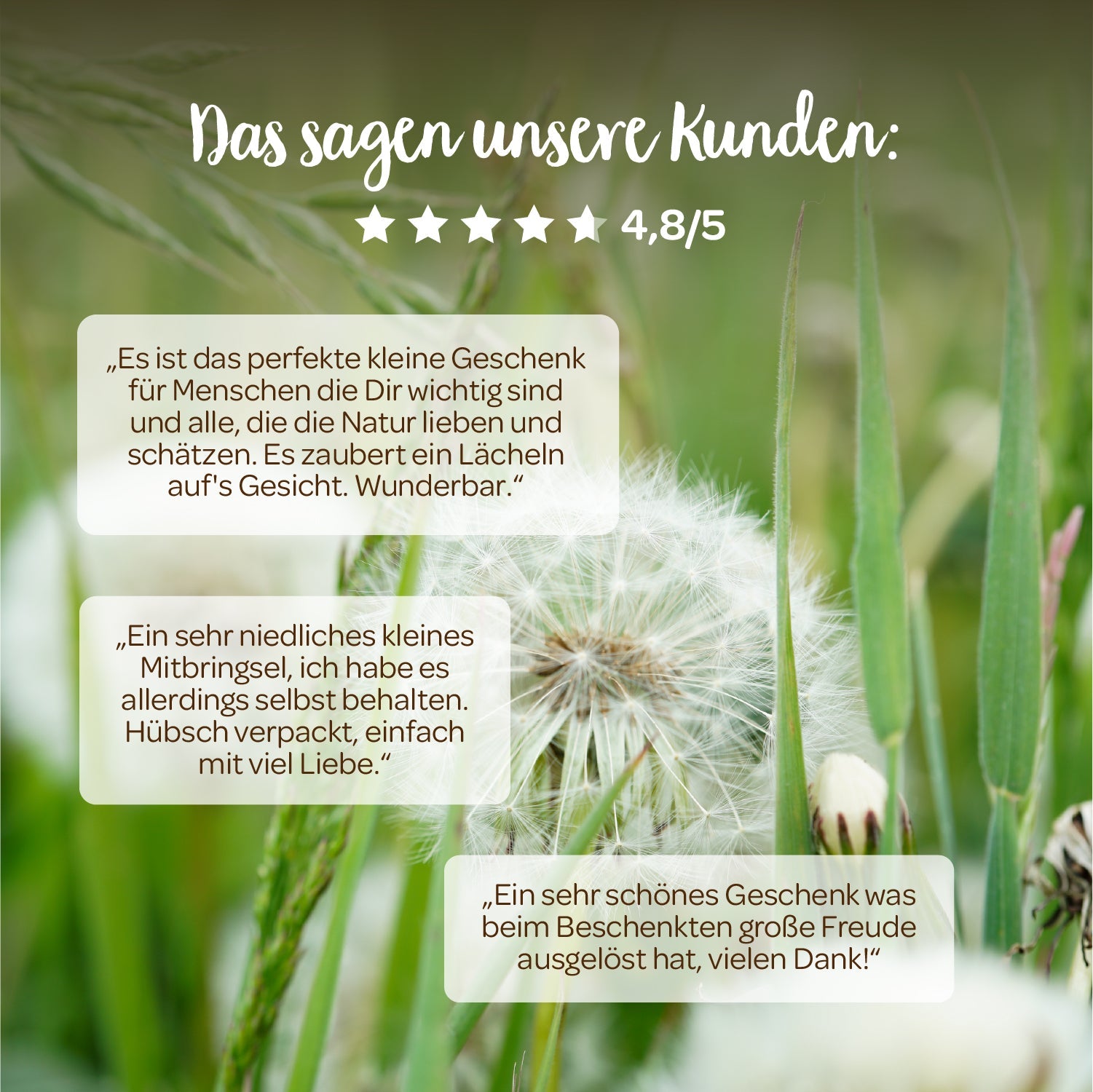 Wunscherfüller mit Pusteblumen-Schirmchen