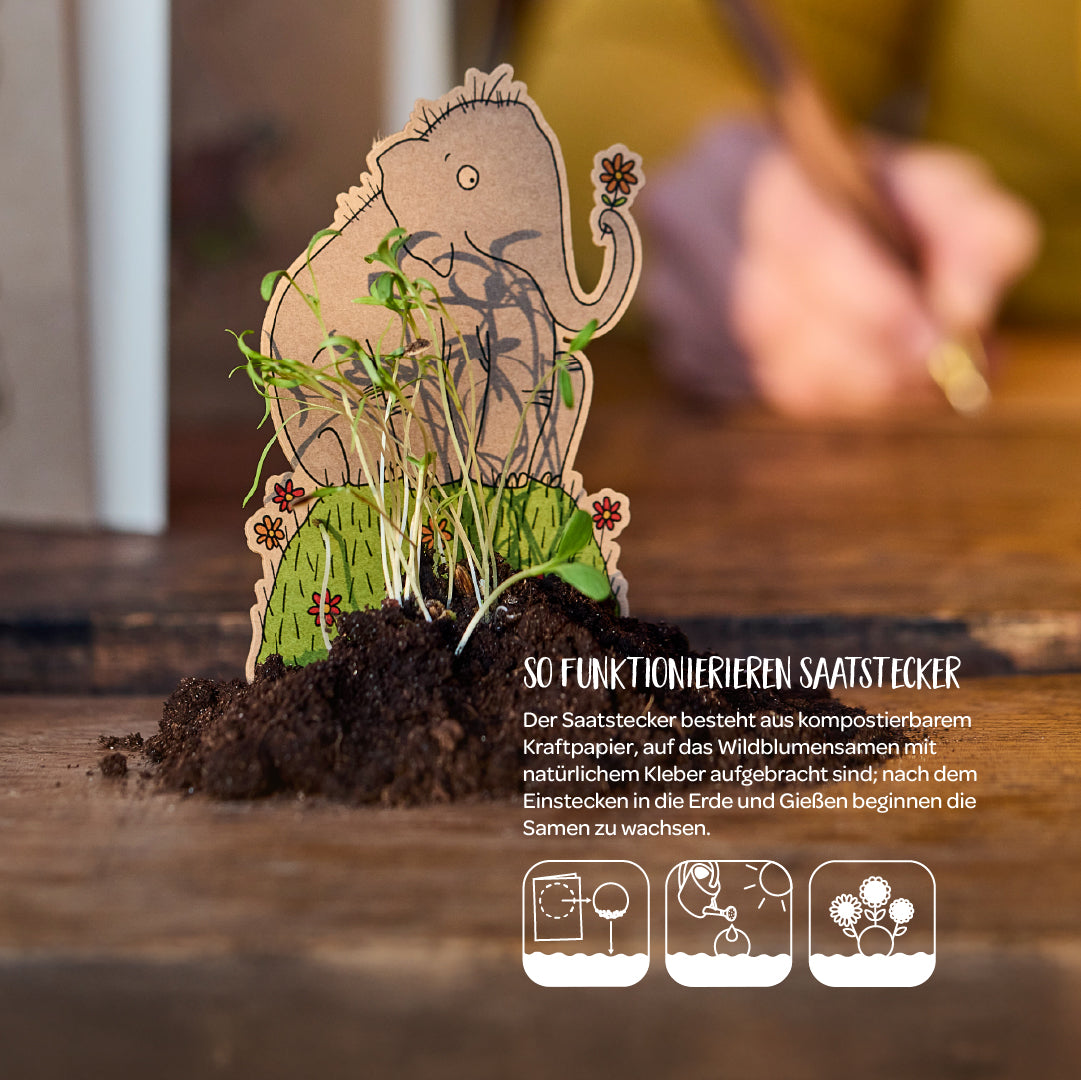 Osterkarte "Frühlingsgruß"