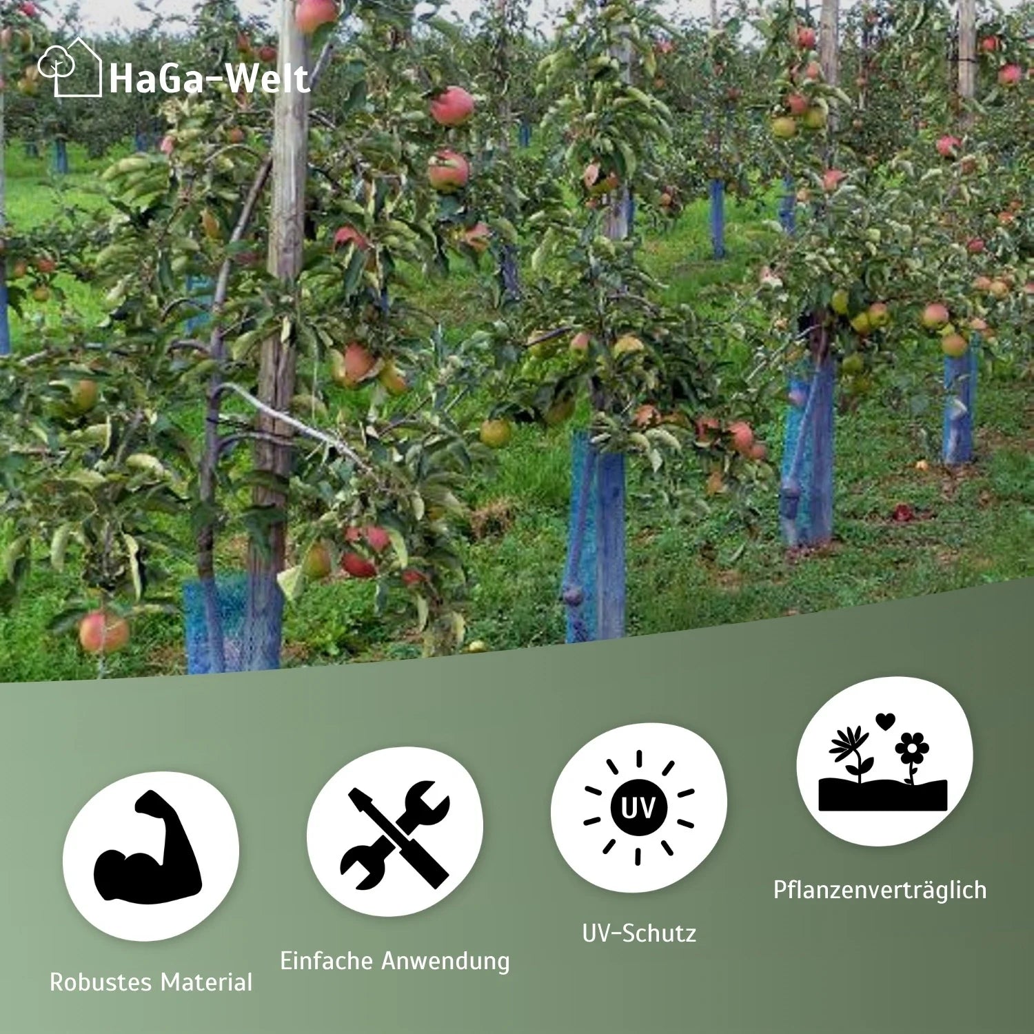 Baumschutzhülle – zuverlässiger Verbissschutz für junge Bäume