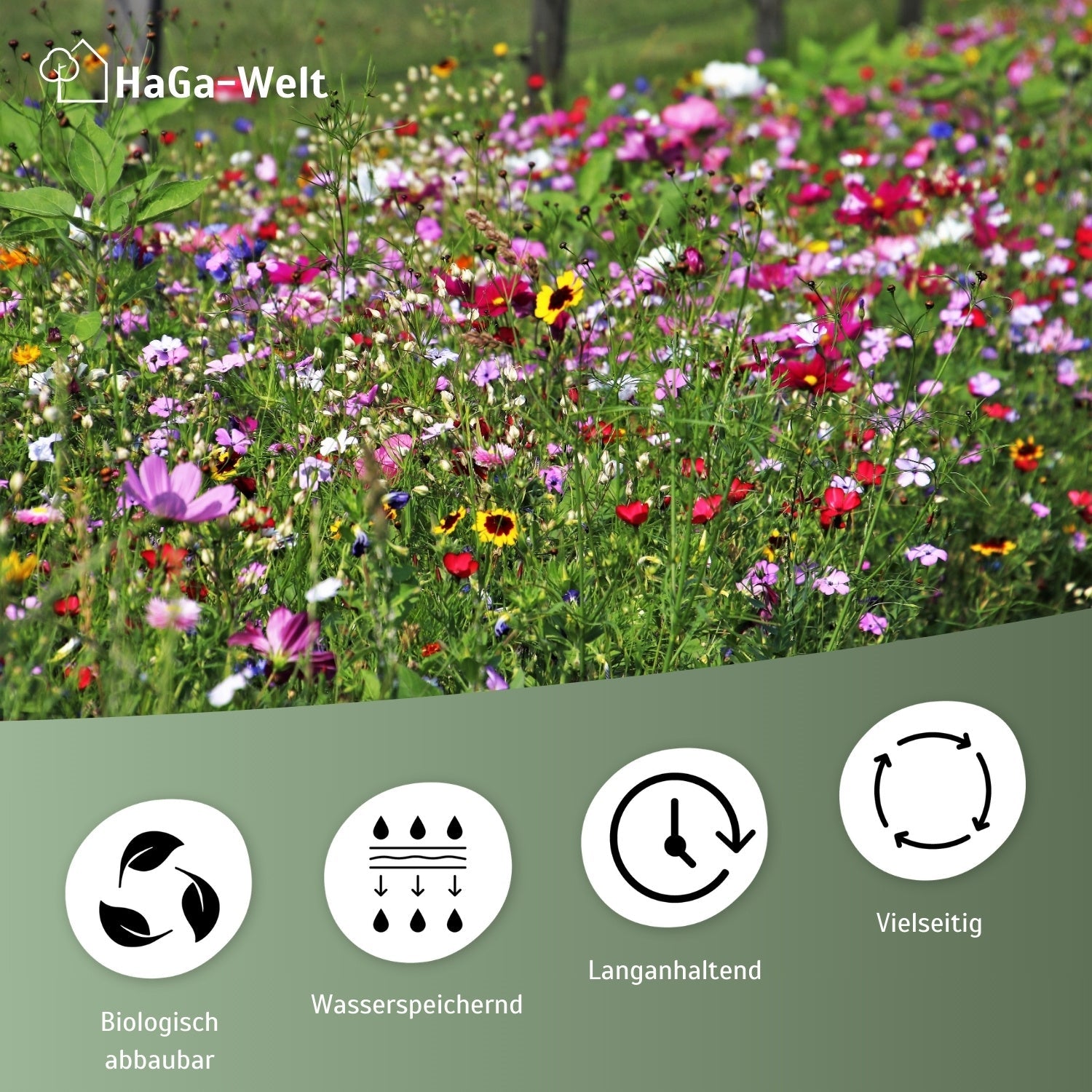 Blumenwiesenmatte – eine Wildblumenwiese für Ihren Garten