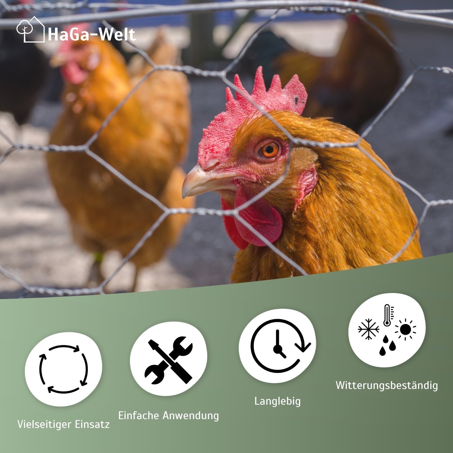 Drahtzaun aus verzinktem Metall 30mmx30mm