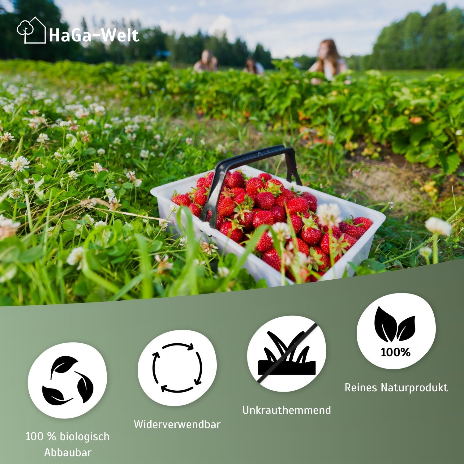 Erdbeermatte in 0,5m Br. (Meterware) 800g/m² einseitig mit Naturlatex besprüht