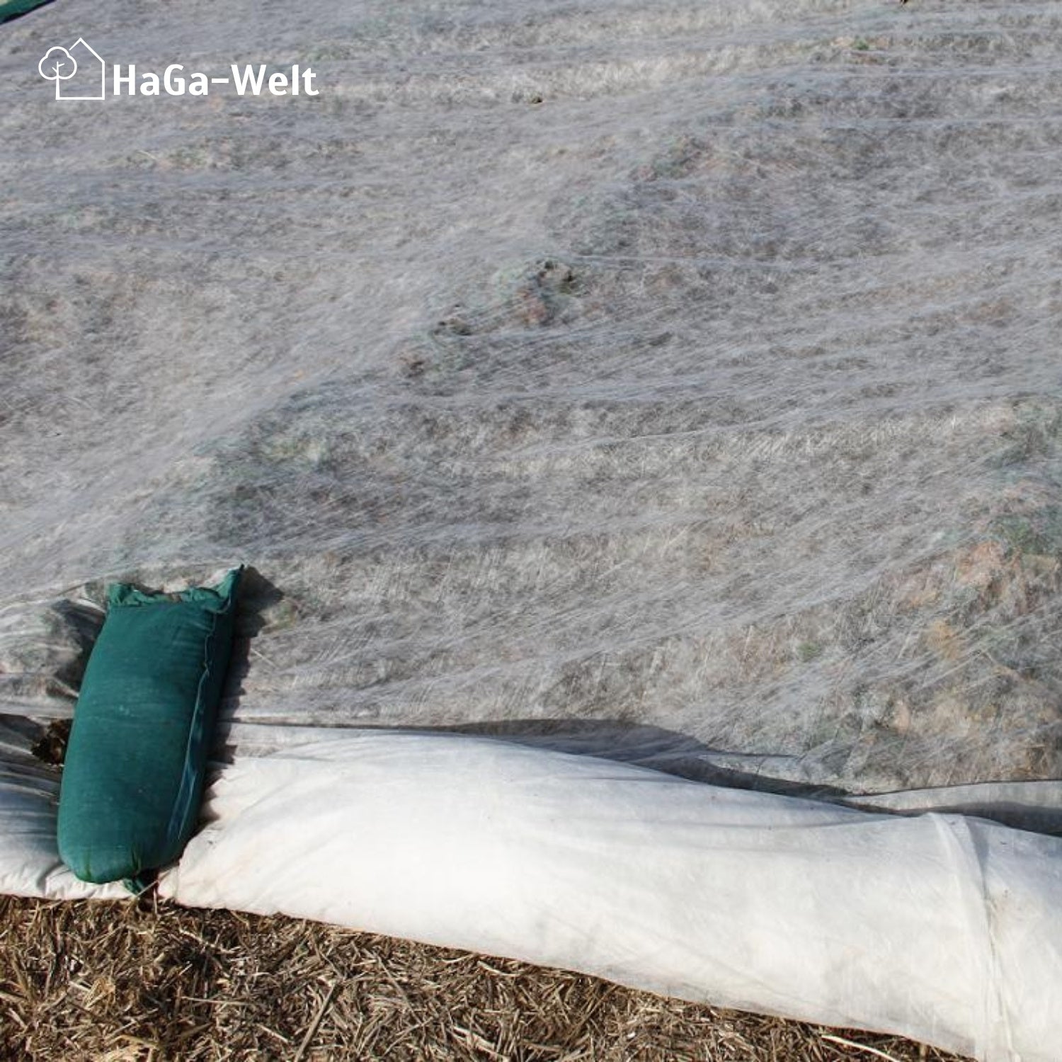 Erntevlies 19 g/m² – effektiver Schutz für Frühbeete