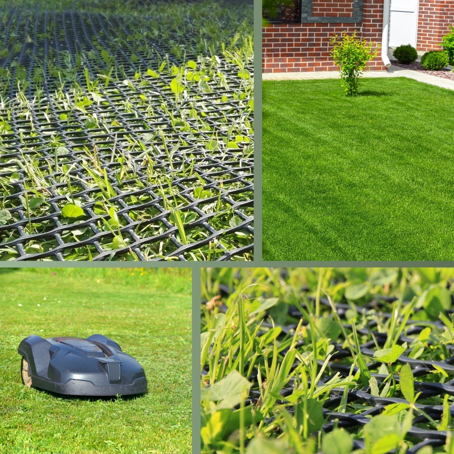 Premium Rasenschutzgitter – starker Schutz für Ihren Rasen