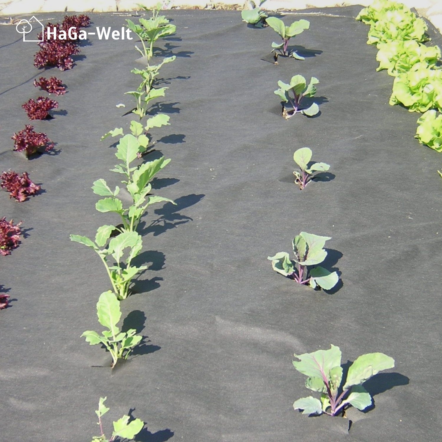 Unkrautvlies-Starter-Set: Startklar für den Unkrautschutz in verschiedenen Größen und Stärken