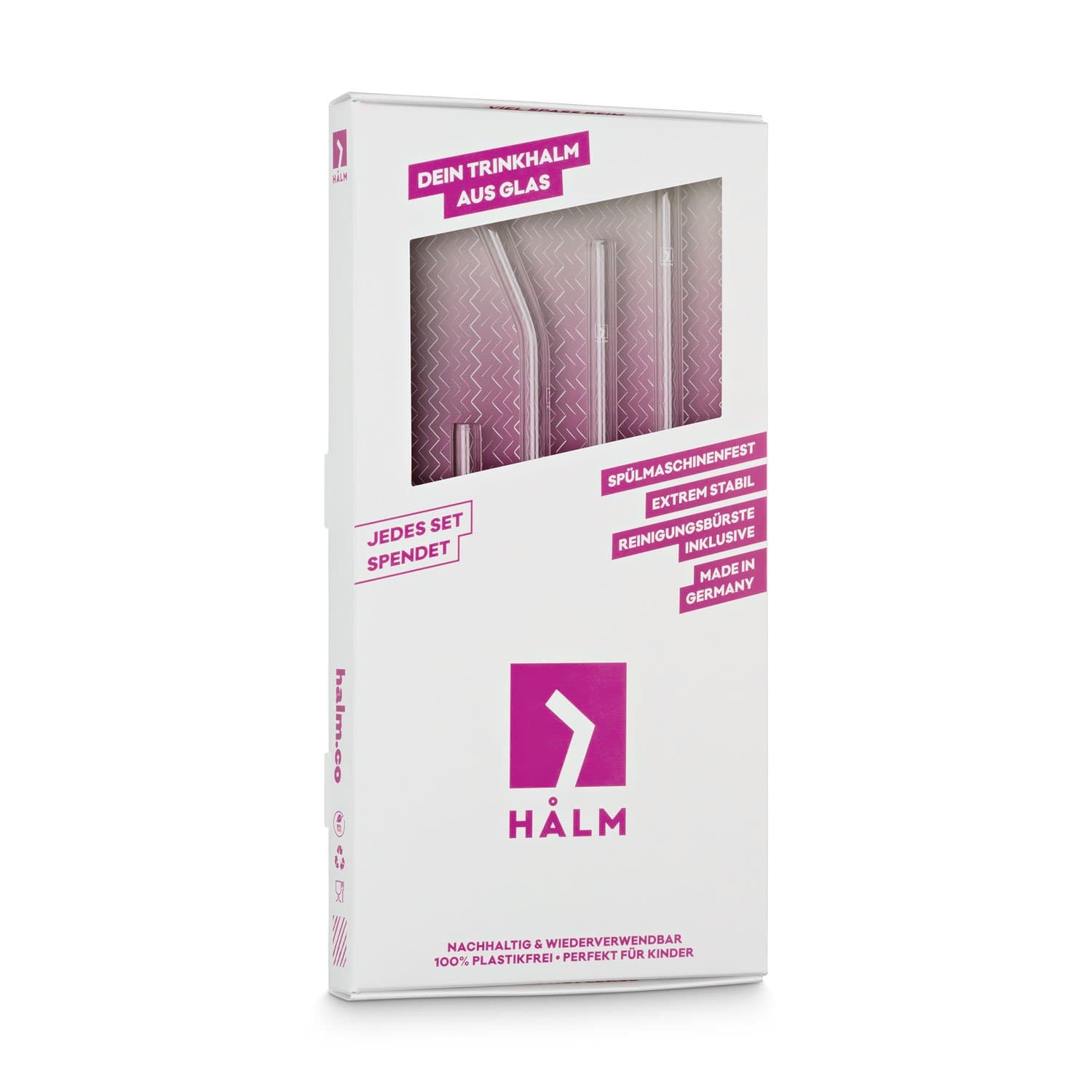 Glasstrohhalme Starter Set