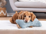 SABRO Kissen KUSCHELKNOCHEN Cord