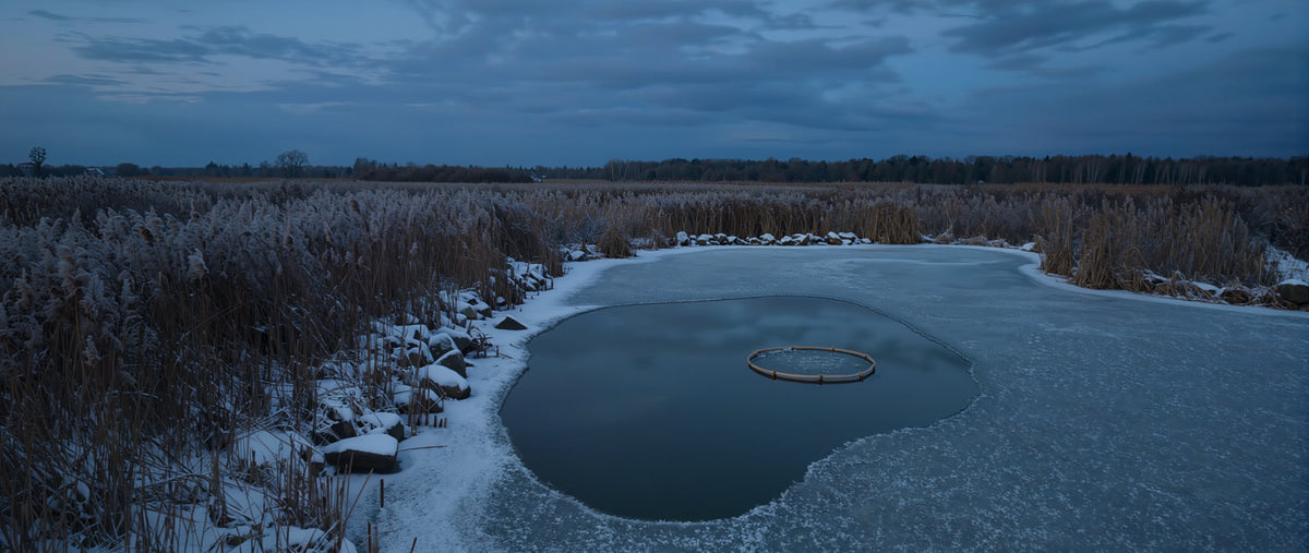 Zugefrorener Gartenteich im Winter