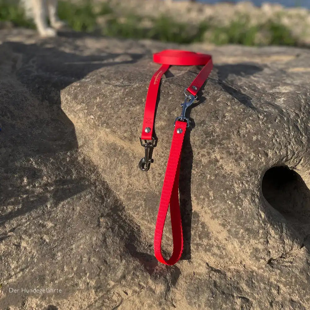 Doppel-Schleppleine FERNWEH aus BioThane®/POP - Band by Der Hundegefährte