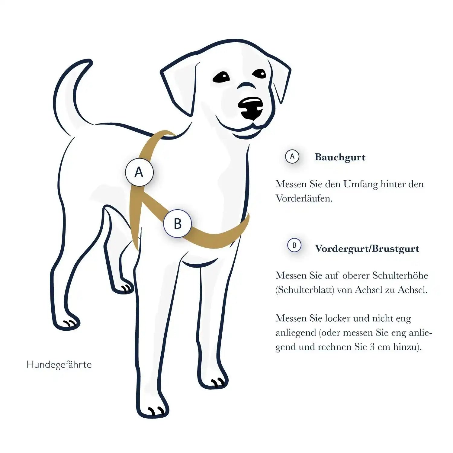 Anti-Stress-Geschirr STURMFREI®, Größe S für Kraftprotze by Der Hundegefährte