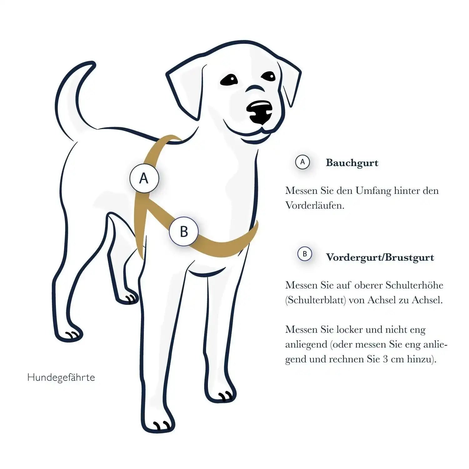 Anti-Stress-Geschirr STURMFREI®, Größe XS by Der Hundegefährte