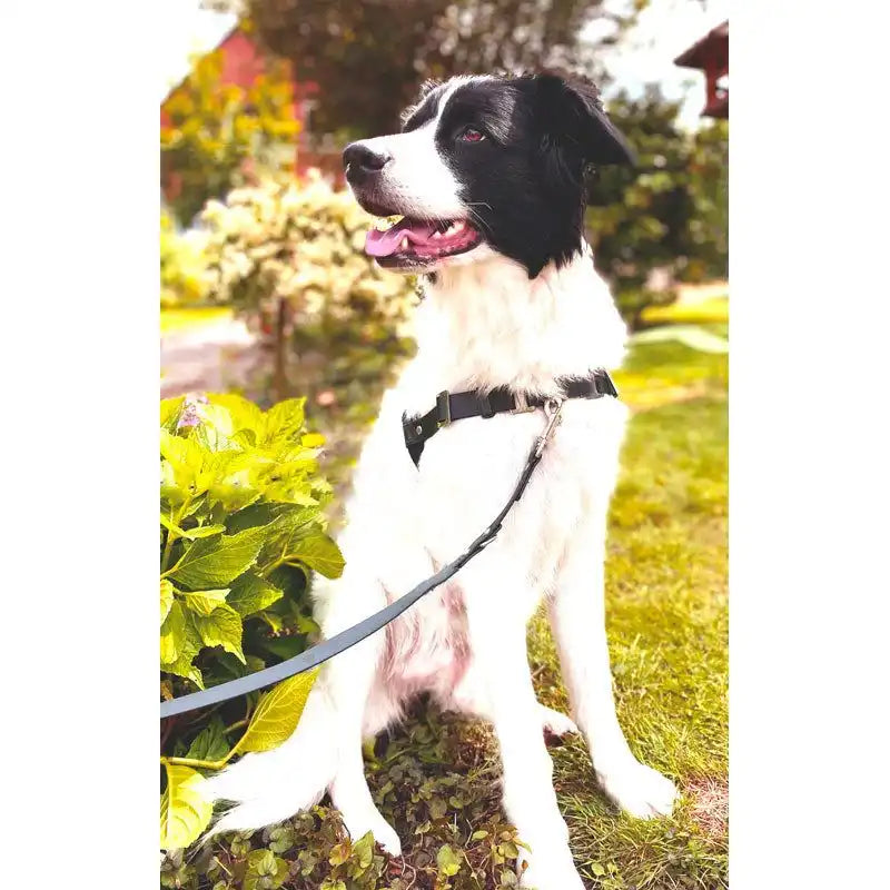 Anti-Stress-Geschirr STURMFREI® Saver für mittlere und große Hunde by Der Hundegefährte