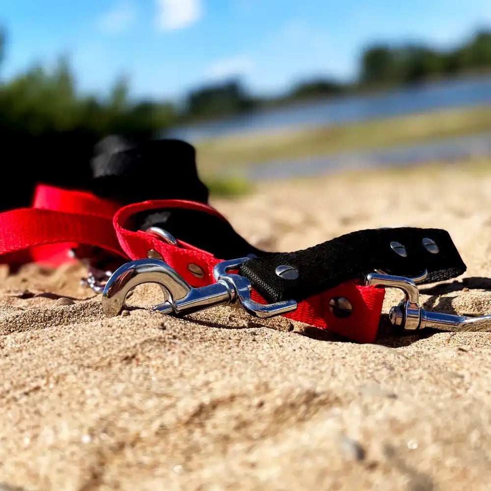 Hundeleine RATZFATZ aus BioThane®/POP - Band by Der Hundegefährte