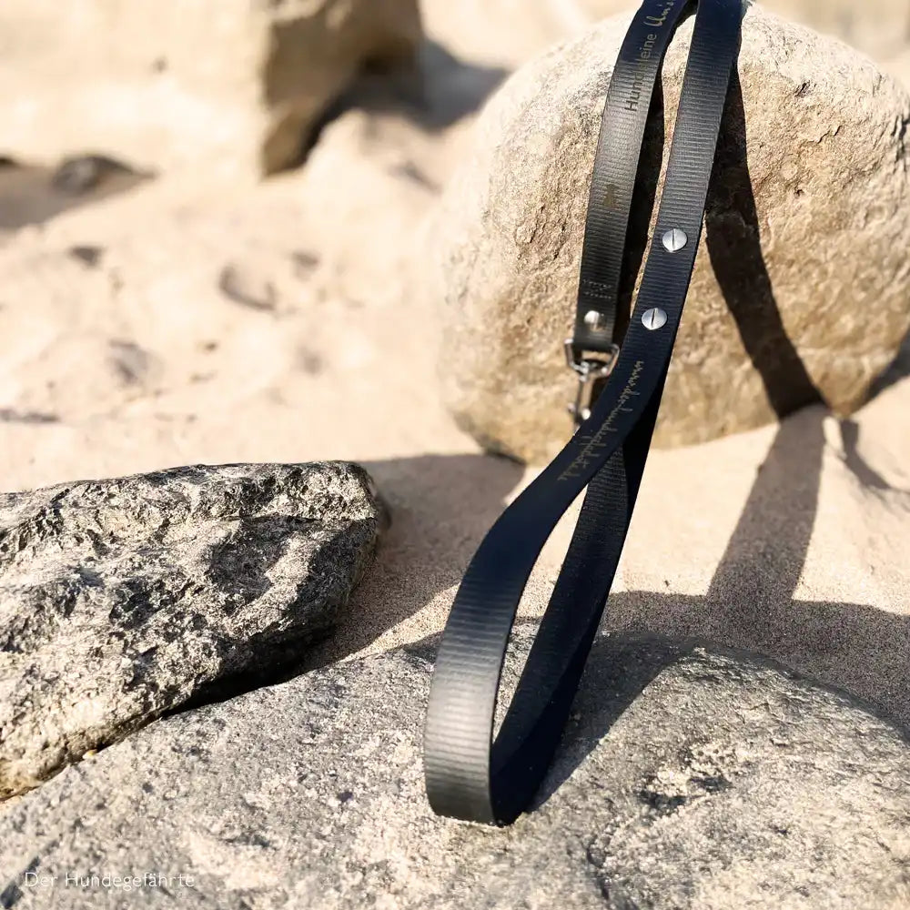 Hundeleine UM'S ECK (1,50 m) aus BioThane®/POP - Band by Der Hundegefährte
