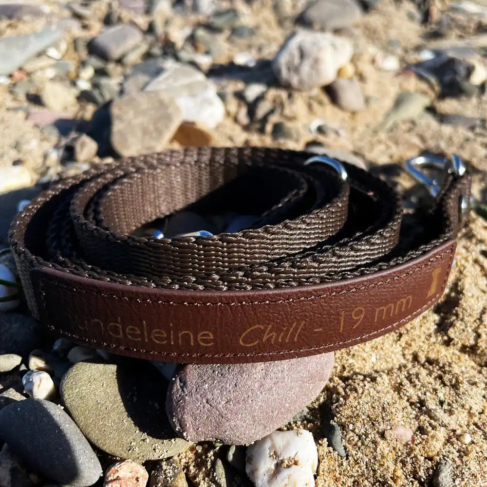 Leinen-Bauchgürtel CHILL (BioThane®) 78-120 cm by Der Hundegefährte