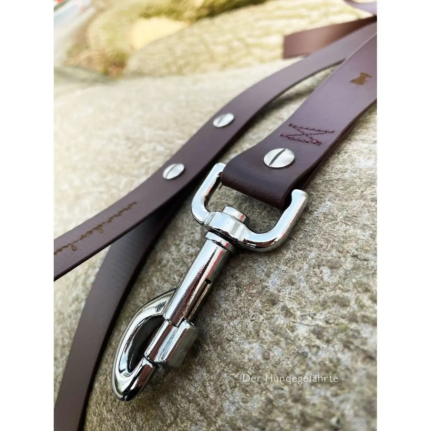 Hundeleine UM'S ECK (1,50 m) aus BioThane®/POP - Band by Der Hundegefährte