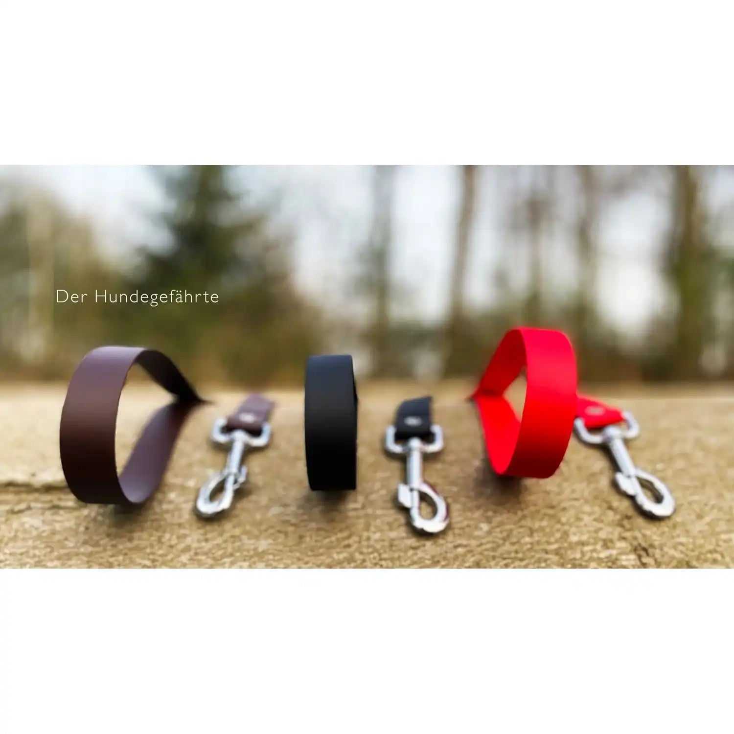 Hundeleine UM'S ECK (1,50 m) aus BioThane®/POP - Band by Der Hundegefährte